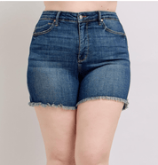 Judy Blue High Waist Tummy Control Fray Hem Shorts - Blissful Boutique