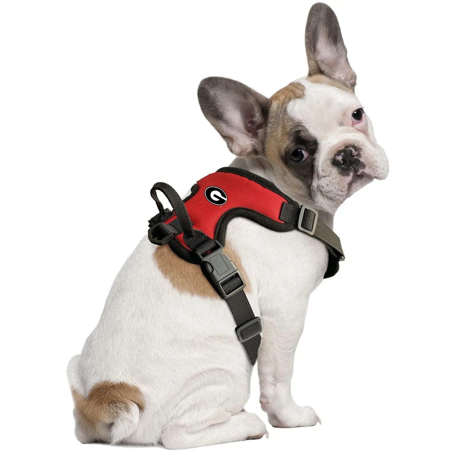 Front clip puppy harness best sale